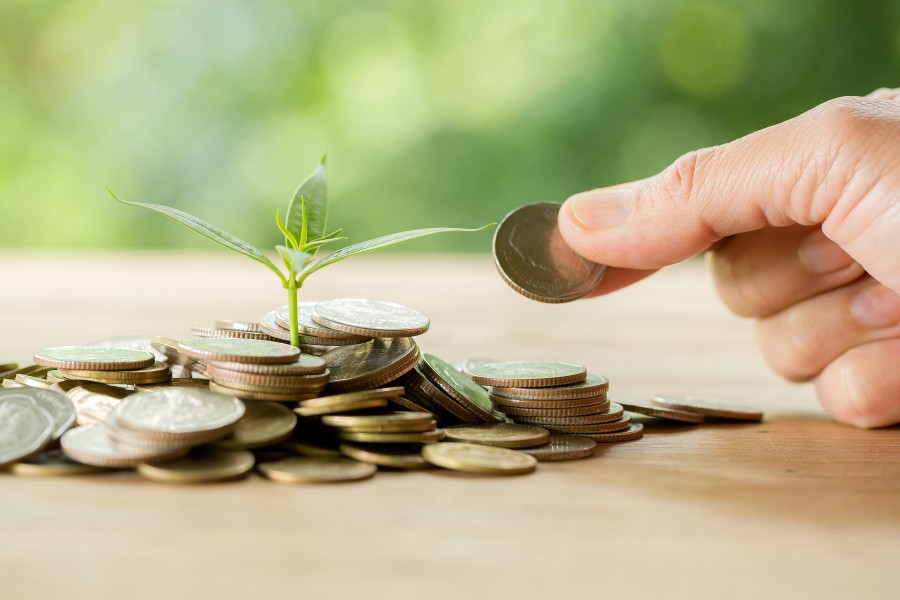 Planting trees on a coin pile with sunlight to save money, saving and investment ideas or future financial planning, ideas for business, innovation, growth and money.